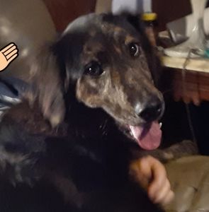 Meet your Posher, Cheree